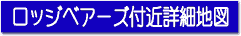 Bears�t�ߏڍא}